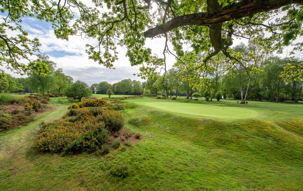 Berkhamsted Golf Club golf course