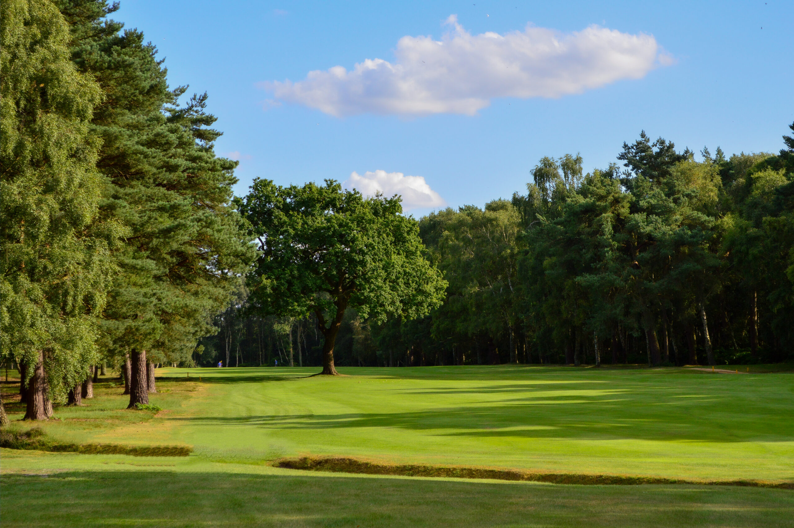 King's Lynn Golf Club golf course