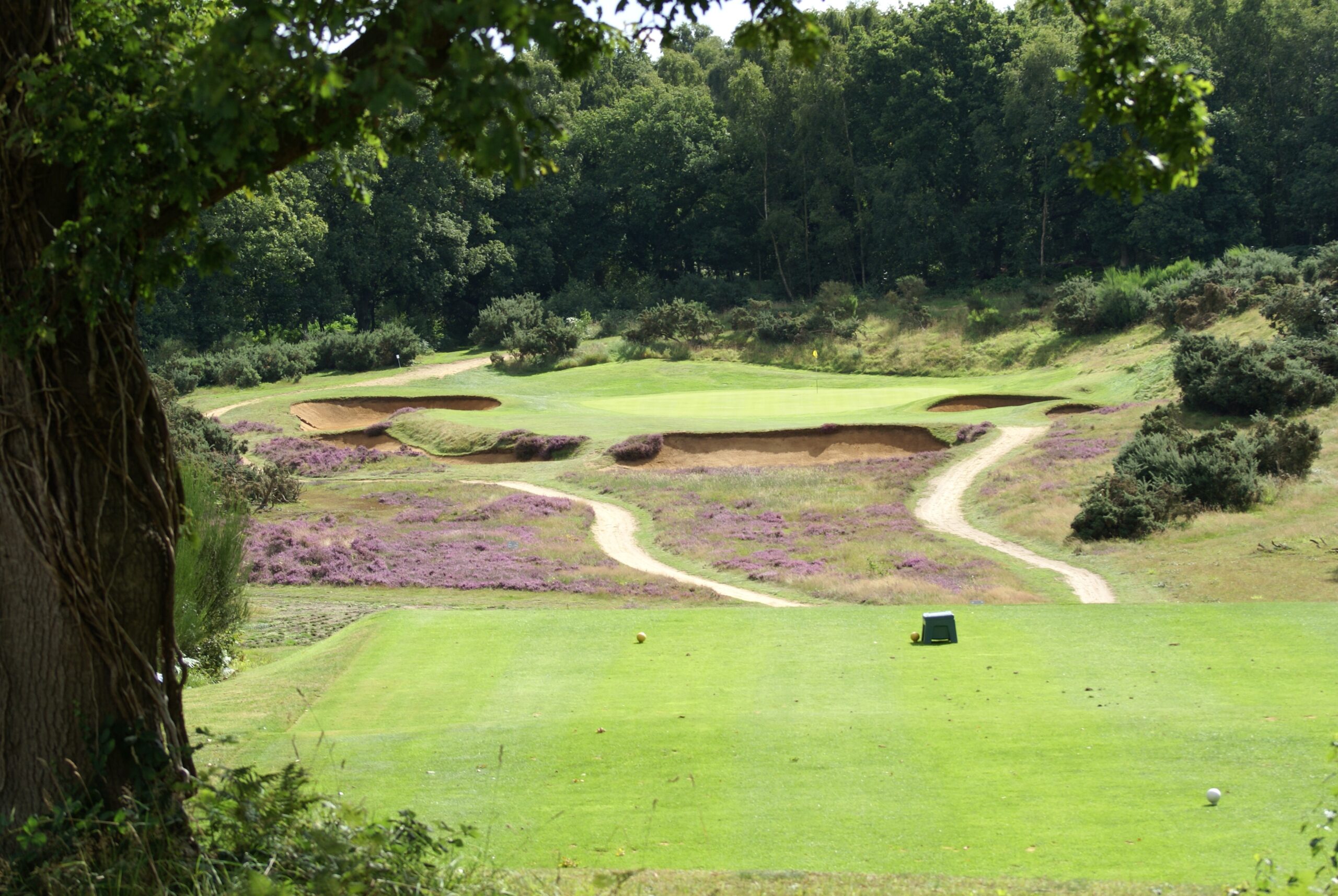 Woodbridge Golf Club golf course